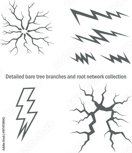A collection of detailed bare tree branches root networks and lightning bolt patterns