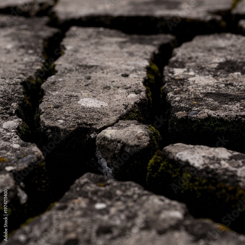 Macro close-up of a deeply cracked dark concrete or stone surface with thin green moss emerging from the crevices, shot at low angle with shallow depth of field, conveying resilience of nature breakin