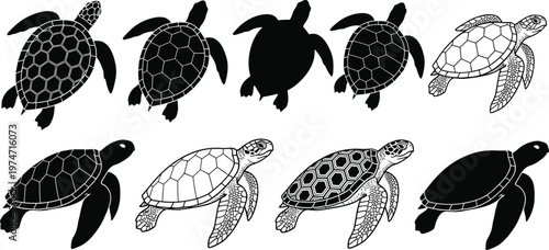 Collection of sea turtles in different poses and styles black and white outline.