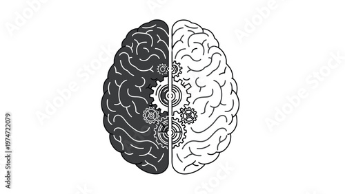 Conceptual illustration of a human brain with two distinct hemispheres connected by intricate mechanical gears, symbolizing logical and creative thought processes and integration.