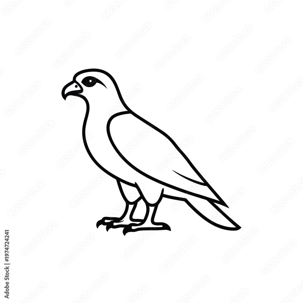 Fototapeta premium Minimalist black outline illustration of a Marsh Harrier bird, standing on its legs, isolated.