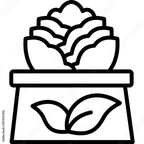 Natural Food line icon