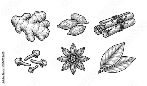 A set of spices in a vintage hand-drawn engraving style. Includes ginger, cinnamon, and anise. Perfect for recipes, menus, and packaging design.