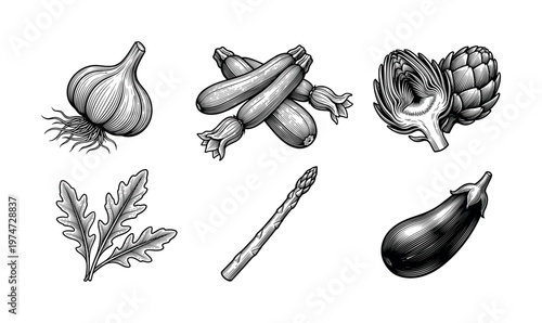 A set of fresh vegetables in a vintage engraving style. Includes garlic, zucchini, and eggplant. Perfect for restaurant menus, packaging, or organic food branding.