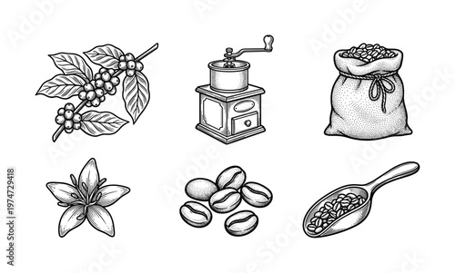 A set of hand-drawn vintage coffee icons. Includes plant, flower, beans, grinder, and sack. Ideal for cafe branding, packaging, or menu design in a retro engraving style.