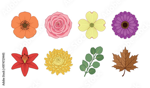 A vibrant set of colorful flower and leaf illustrations. This botanical collection includes various species perfect for design, branding, and stickers.