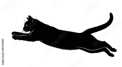 Black cat silhouetted in mid air against white background