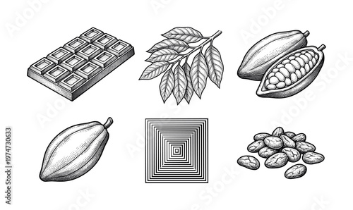 Vintage set of chocolate and cocoa ingredients. Hand-drawn engraving style illustrations of cacao pods, beans, leaves, and a chocolate bar. Perfect for packaging and branding.