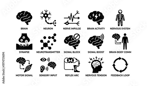 Brain and nervous system icons: neuron, synapse, signal, reflex, neurotransmitter