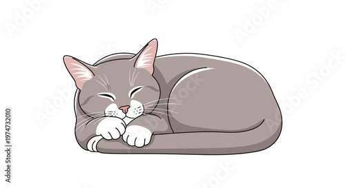 Sleeping cat illustration isolated on white background for various uses