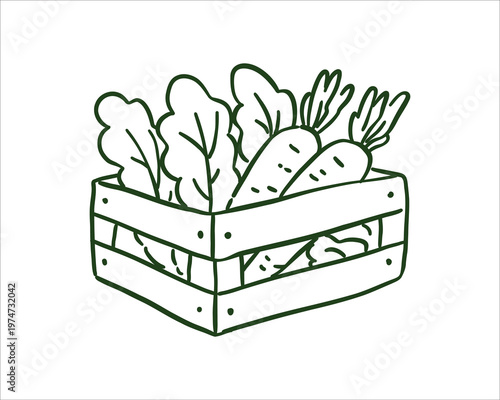 Hand-drawn minimalist doodle of fresh carrots and leafy greens in a wooden harvest crate. Simple black ink sketch perfect for organic farm markets, healthy lifestyle blogs, or rustic kitchen decor.