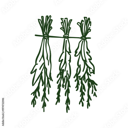 Hand-drawn doodle of aromatic herbs hanging to dry. Minimalist ink sketch of herb bunches on a string, perfect for rustic kitchen decor, herbal medicine themes, or organic living blogs.