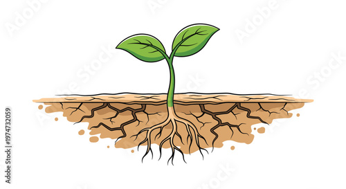 Young green sprout growing from dry cracked ground illustrating resilience and life emerging from harsh conditions.