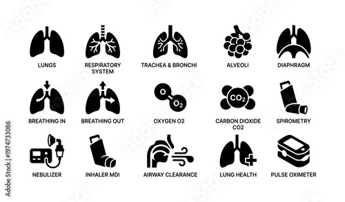 Respiratory system icons - lungs, trachea, alveoli, diaphragm, oxygen, spirometry devices