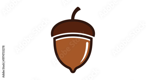 Brown Acorn Nut Closeup Illustration.