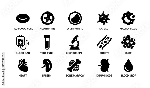 Blood cell icons: neutrophil, lymphocyte, platelet, and anatomy symbols