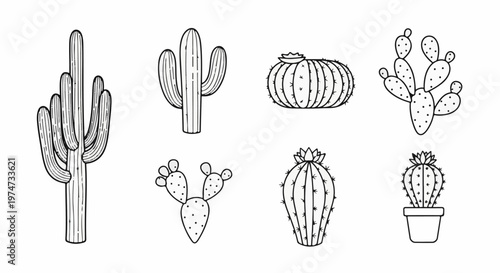 A collection of diverse black and white line art cactus illustrations
