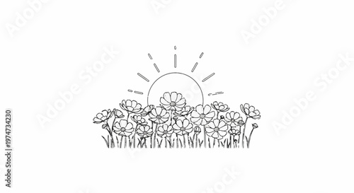 Sunrise over a field of delicate sketched flowers and grass