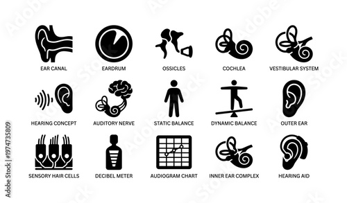 Ear anatomy icons: auditory structures and hearing concepts