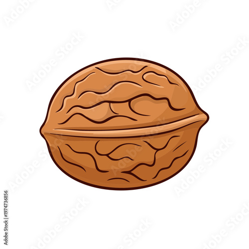 Detailed brown walnut shell with textured surface and natural patterns illustration