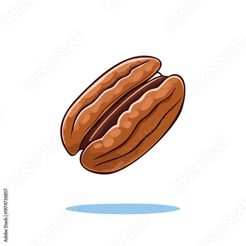 Brown Pecan Nut Illustration Isolated White Background Healthy Food Ingredient
