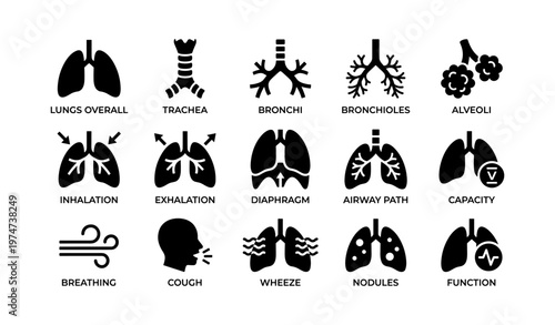 Lung anatomy icons: inhalation, exhalation, cough, wheeze, diaphragm, airway, function