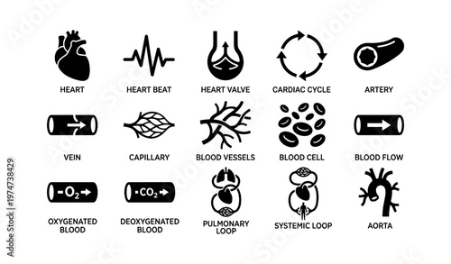 Heart and circulatory system icons: artery, vein, capillary, blood cells, oxygenated flow