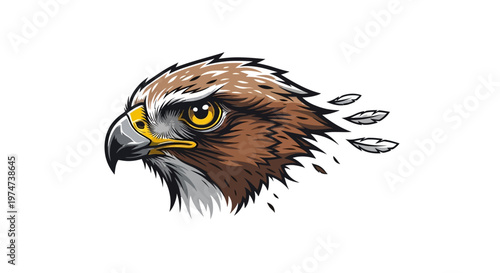 Brown Hawk Bird Head Closeup Profile.