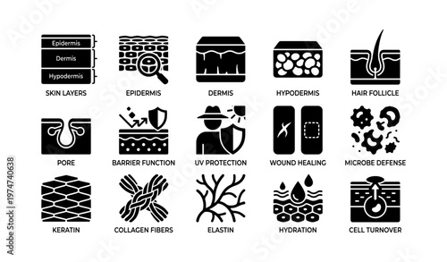 Icons of skin layers and functions: epidermis, dermis, hair follicle, uv protection