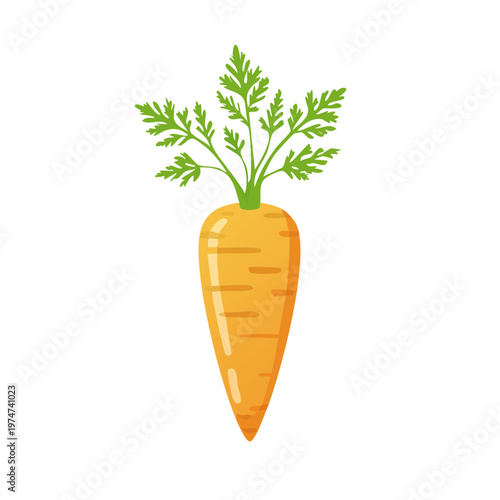 Bright orange carrot with green leaves healthy root vegetable illustration
