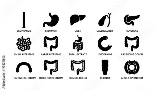 Digestive system icons: esophagus, stomach, liver, gallbladder, pancreas, intestines