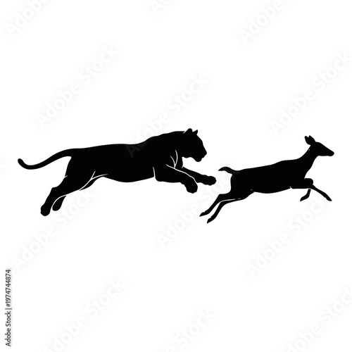 Valokuva Silhouette of a Royal Bengal Tiger chasing a spotted deer in full speed, concept of predator and prey in wild nature on white background