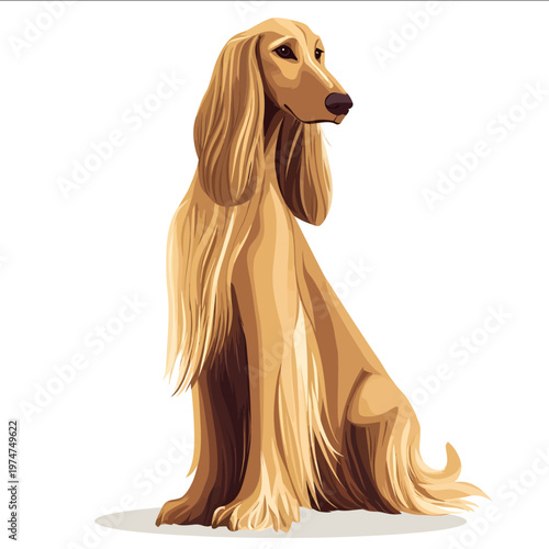simple vector Afghan Hound clipart illustration white background vector art style simple design flat illustration no shadows