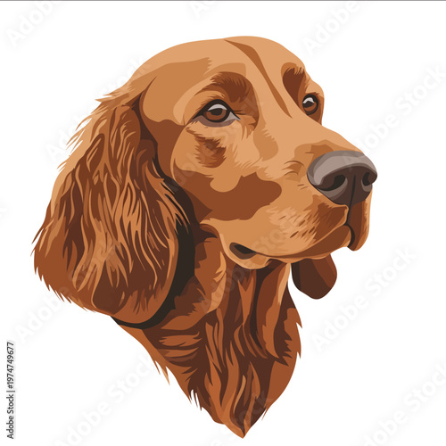 simple vector Irish Setter clipart illustration white background vector art style simple design flat illustration no shadows