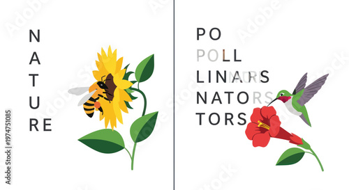 Pollinators nature concept with bee on sunflower and hummingbird on red flower