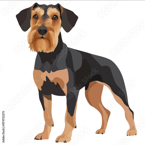 simple vector airedale terrier clipart illustration white background vector art style simple design flat illustration no shadows