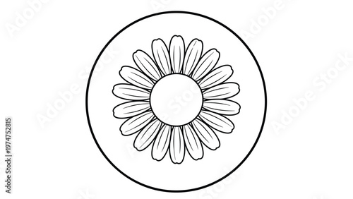 Black and white line art illustration of a daisy flower centered within a circle showing many delicate petals and a middle.