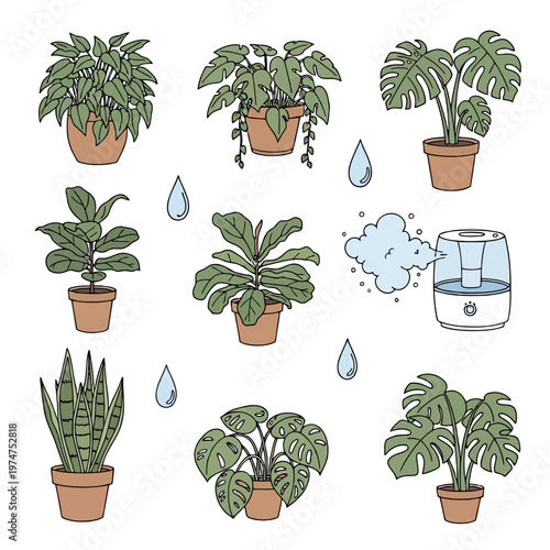 Collection of houseplants and humidifier for plant care vector illustration, indoor plants, green foliage, humidity for plant growth.