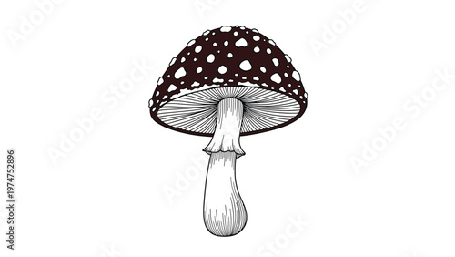 Detailed black and white line art illustration of a mushroom with a spotted cap and gills visible underneath the head.