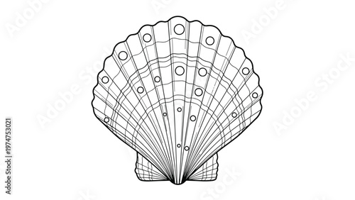 Detailed line art drawing of a scallop seashell featuring circular patterns on its textured surface, suitable for coloring or beach themes.