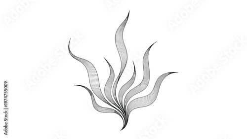 Abstract organic shape resembling grass or flames made of fine black and white lines on a plain background.