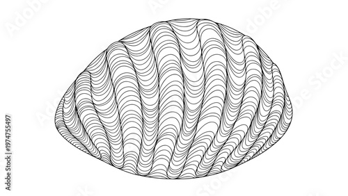 Intricate black and white line drawing of a seashell with flowing wavy patterns and fine details isolated on a white background.
