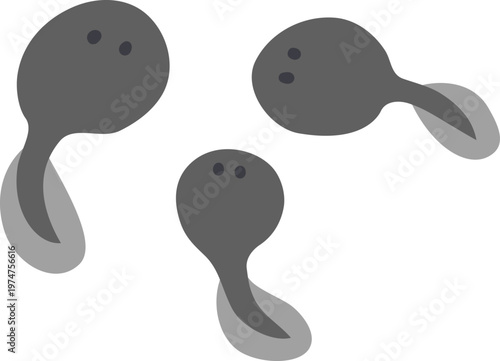 かわいいおたまじゃくしの3匹の群れ