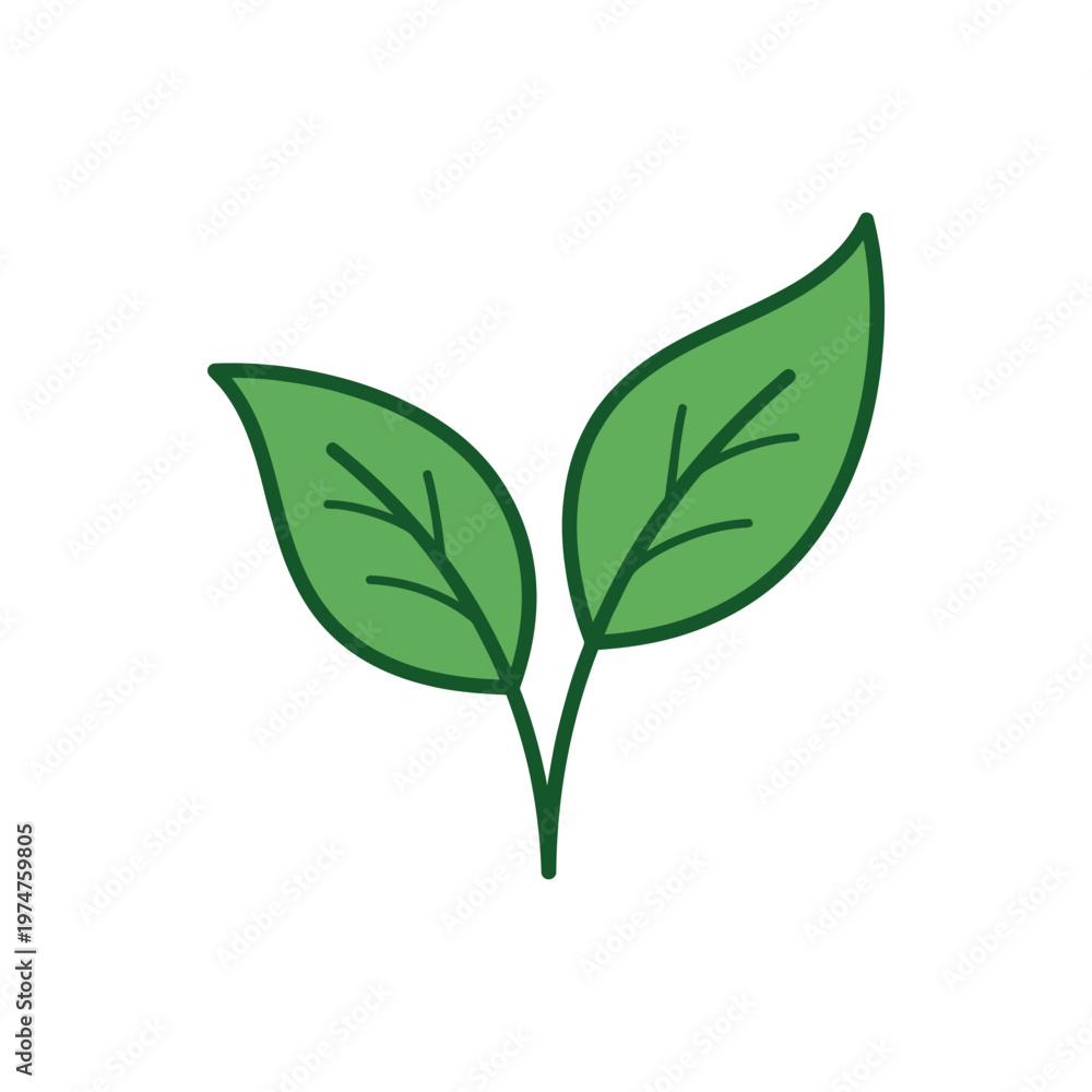 Fototapeta premium Flat vector icon of two symmetrical tea leaves growing upward from one stem