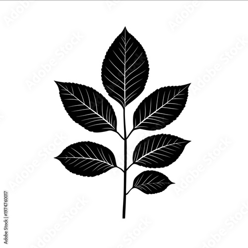 vector Chestnut leaf silhouette black on white background simple shapes svg vector graphic