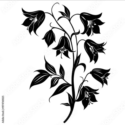 black silhouette bellflower on a white backgrounk vector