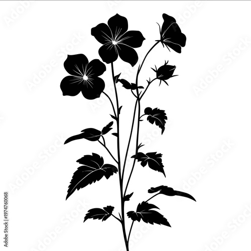 Tableau sur toile black silhouette wallflower on a white backgrounk vector