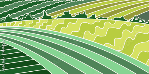 Abstract agriculture field or farm card banner. Vineyard valley pattern, countryside landscape, eco horizontal panorama template. Green nature organic background