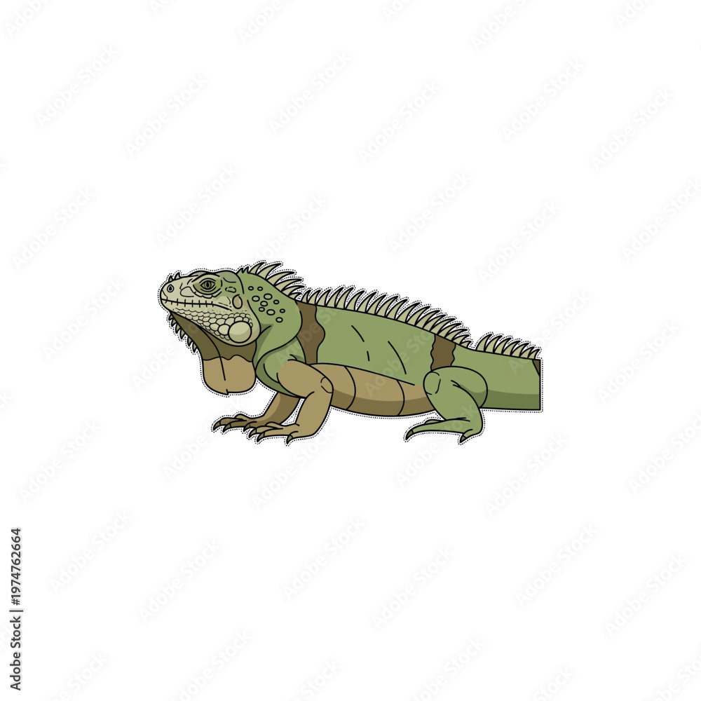 Fototapeta premium Green Iguana Reptile Side View Portrait.