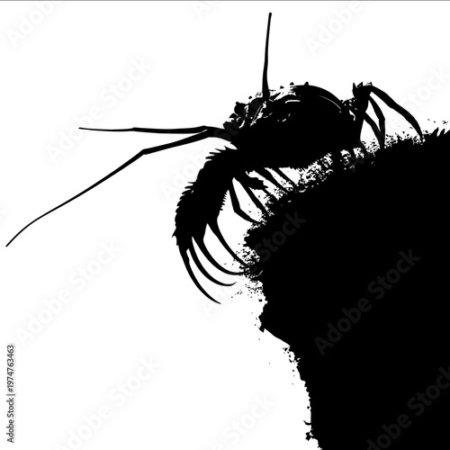 black silhouette fiddler crab on a white backgrounk vector